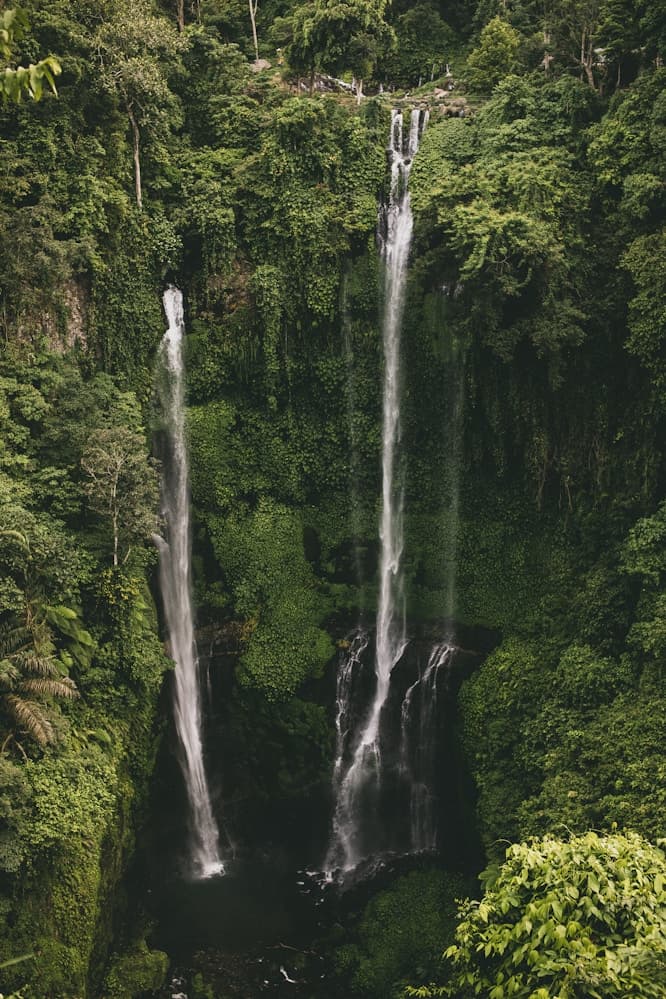 bali