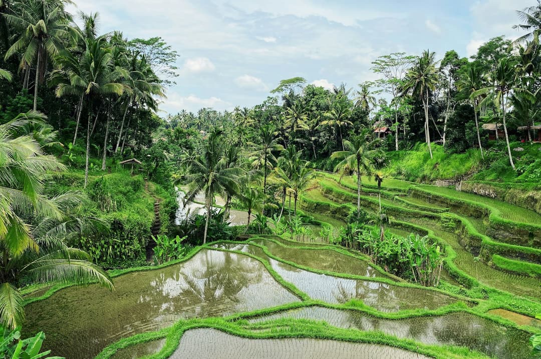 Bali